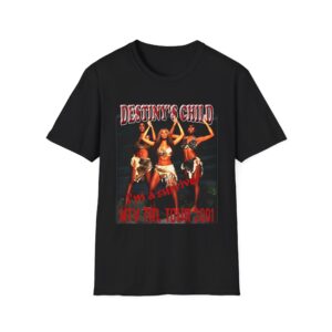 Destinys Child Im a Survivor T-SHIRT